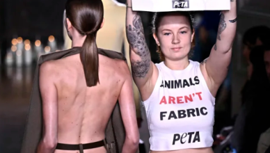 Victoria Beckham Peta Protests